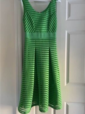 New York & Company Green Dress